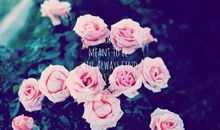 思念亲情的句子简短的