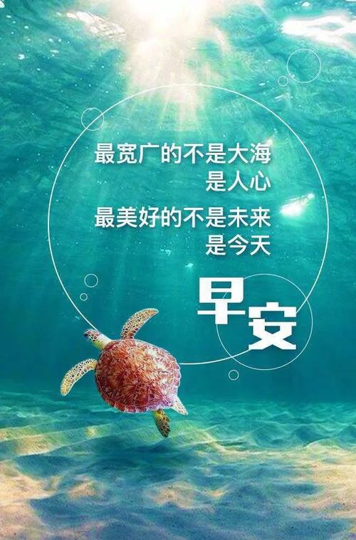 关于周末的一句话