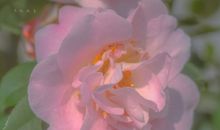 那些怼人爽句大全 骂人不脏口的精辟句子