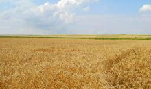 表达今天很开心的句子说说心情 今天心情特别开心短句