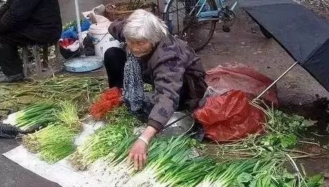 拜访老人的悲哀句子1