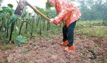 看望老人心酸的句子