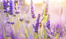 放假带孩子玩的开心的句子