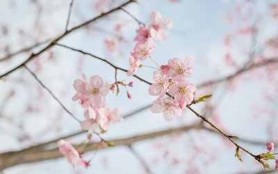 关于时间的哲学句子4