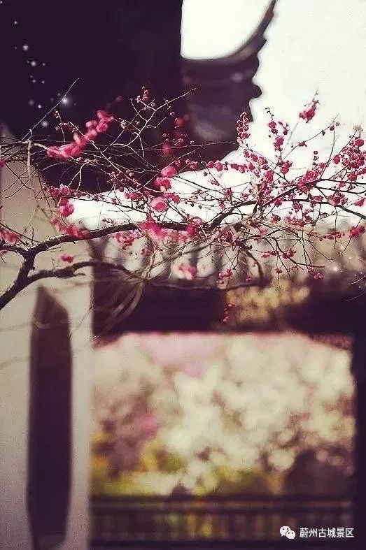 古典经文如此美丽，以至于简短而富有艺术感1