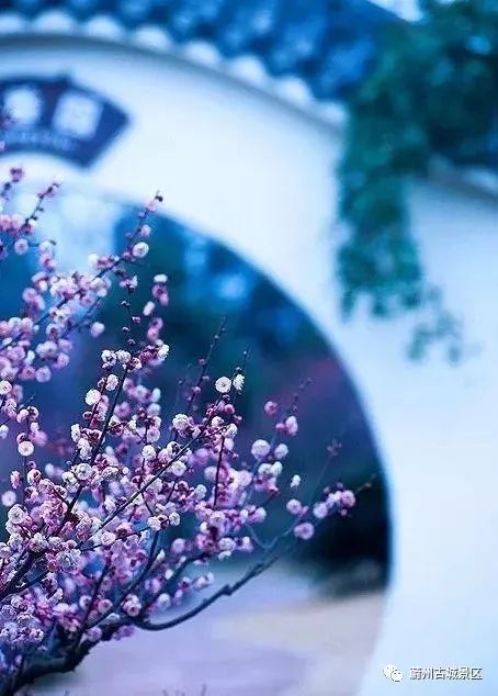 古典经文如此美丽，以至于简短而富有艺术感2