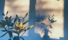 最简短精辟的句子 太绝了