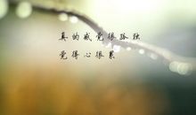 关于无奈的伤感说说心情