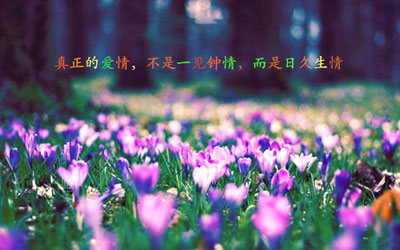 QQ美女个性签名图片10