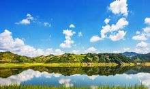 有关亲情的简短的优美句子大全