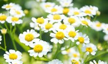 有关亲情简短的句子