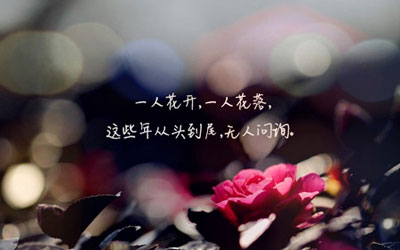 个性签名精美图片13