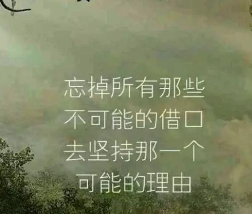 简短的励志句子，鲜明的句子2