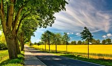 亲情最重要的简短句子