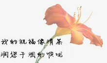教师节寄语