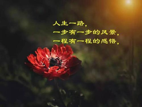 冷静的句子