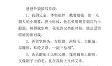 描写爸爸外貌的段落