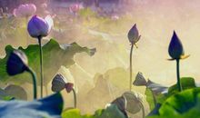 关于亲情的心灵鸡汤句子