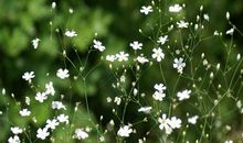 对亲情测底失望心凉的句子