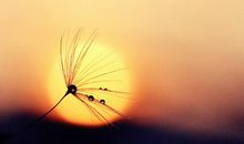 人间三千事,一笑皆了之