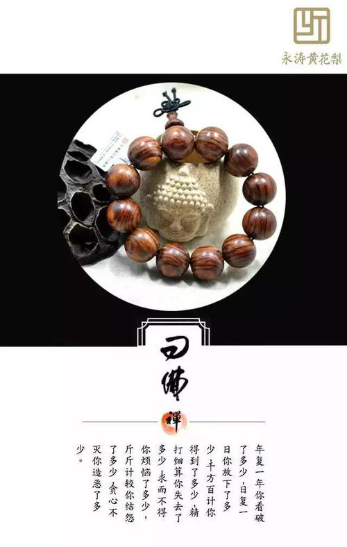 禅宗的一生