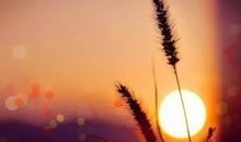 早起的说说正能量 适合大清早发的朋友圈