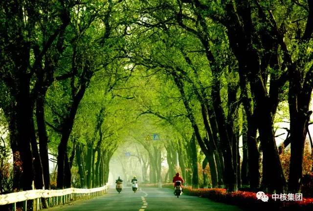 15.场地很安静”，我只听见我的心跳，周围的人似乎僵住了，甚至听不到他们的呼吸。这时，一只苍蝇从无处飞来，嗡嗡的嗡嗡声使我不高兴。我的手，手掌，我迅速缩回我的手，仿佛每个人都在凝视着我，以为我打破了沉默，我被惊呆了，心跳减慢了，太安静了！