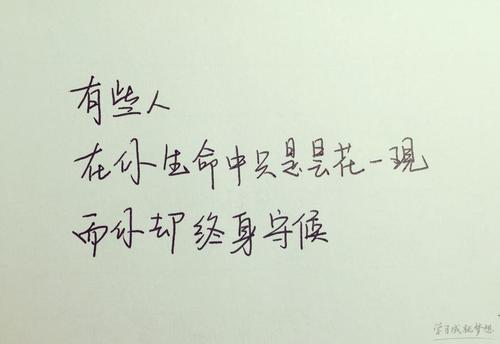 生日哲学的完整集合