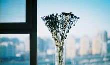 好想和你回到过去