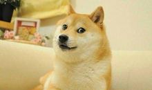 一句话表示单身的句子 朋友圈暗示自己单身