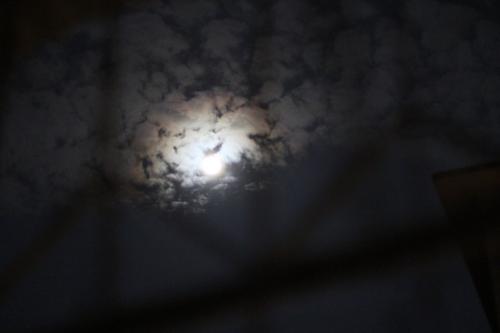 夜的诗句