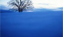 有关毅力的名言