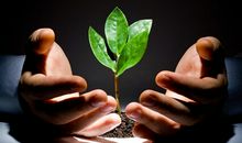 关于成长的正能量句子