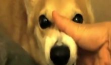 关于生气的座右铭