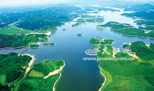 一些优美的句子