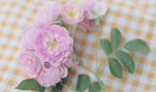 坠入星河的温柔仙句合集 超级温柔的爱情语录