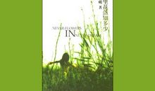 梦里花落知多少经典语录