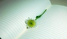 亲情皱纹哲学性的句子