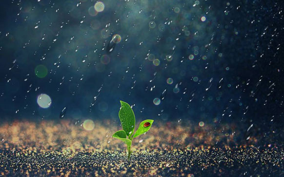 下雨报价或口号