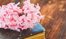 青春和亲情的句子英文