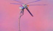 qq签名大全2018女生