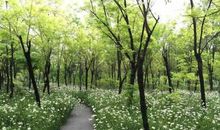 有关亲情的成语和句子