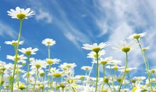 品德高尚的座右铭