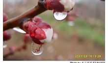 描写美女外貌的句子