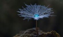人生是一种承受,我们要学会支撑自己