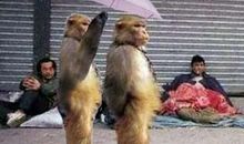 许四多微博语录