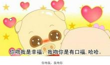 毕加猪经典语录