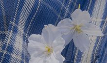 三观超正的说说合集