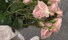 不吵不闹心凉了的说说 心累的伤感句子