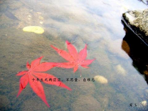 触动心灵的那句话，哪句话写在你心中？